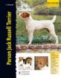 Parson Jack Russell Terrier - Preview