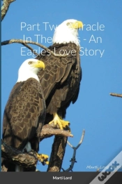 Capa do artigo Part Two: Miracle In The Pines - An Eagl