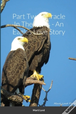 Capa do artigo Part Two: Miracle In The Pines - An Eagl