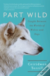 Capa do artigo Part Wild