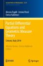 Partial Differential Equations And Geometric Measure Theory - Preview