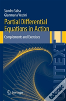 Partial Differential Equations In Action