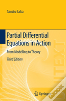 Partial Differential Equations In Action