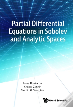 Capa do artigo Partial Differential Equations In Sobolev & Analytic Spaces