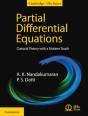 Partial Differential Equations - Preview