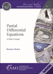 Capa do artigo Partial Differential Equations