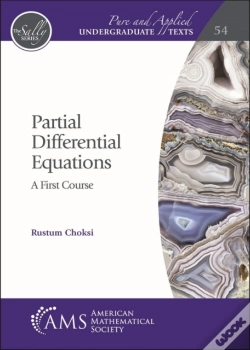 Capa do artigo Partial Differential Equations