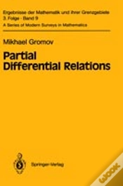 Capa do artigo Partial Differential Relations