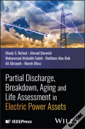 Capa do artigo Partial Discharge, Breakdown, Aging And Life Assessment In Electric Power Assets