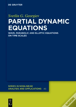 Capa do artigo Partial Dynamic Equations