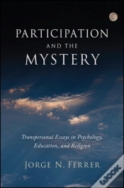 Capa do artigo Participation And The Mystery