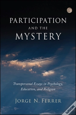 Capa do artigo Participation And The Mystery
