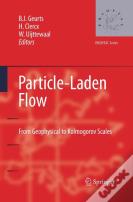 Particle-Laden Flow