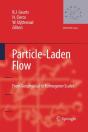 Particle-Laden Flow - Preview
