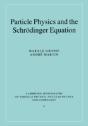 Particle Physics And The Schrodinger Equation - Preview