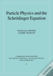 Particle Physics And The Schrodinger Equation