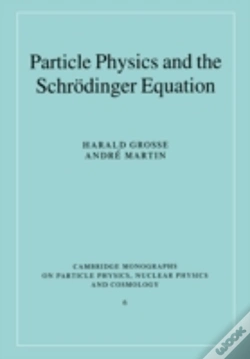 Capa do artigo Particle Physics And The Schrodinger Equation