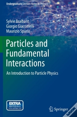 Capa do artigo Particles And Fundamental Interactions