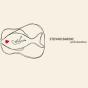 Particolare#uno - CD - Preview