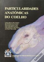 Particularidades Anatómicas no Coelho