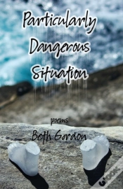 Capa do artigo Particularly Dangerous Situation