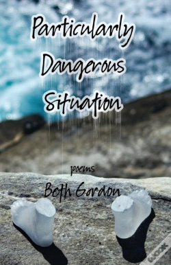 Capa do artigo Particularly Dangerous Situation