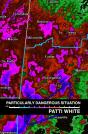 Particularly Dangerous Situation - Preview
