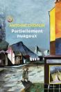 Partiellement Nuageux - Preview