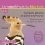 Partitions Sonores En Plaine Des Maures - Preview