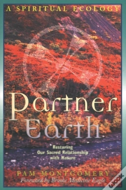 Capa do artigo Partner Earth