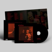 Capa do artigo Partners in Hell - CD