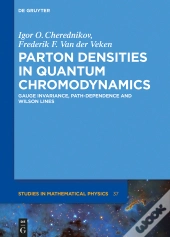Parton Densities In Quantum Chromodynamics