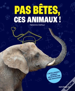 Capa do artigo Pas Bêtes, Ces Animaux ! L'Intelligence Animale Décryptée Par Une Zoologue