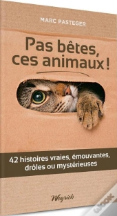 Pas Betes Ces Animaux