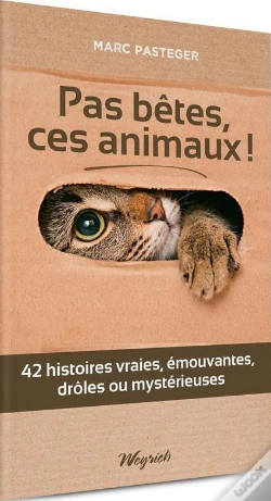 Capa do artigo Pas Betes Ces Animaux
