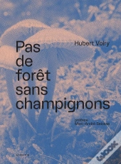 Pas De Forêt Sans Champignons