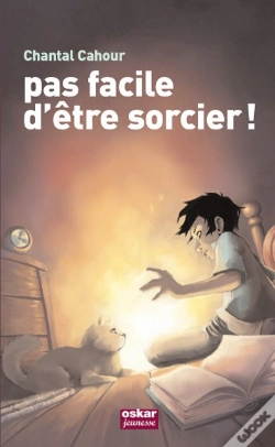 Capa do artigo Pas Facile D'Être Sorcier !