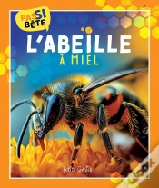 Capa do artigo Pas Si Bête - L