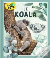 Pas Si Bête : Le Koala