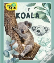 Capa do artigo Pas Si Bête : Le Koala