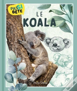 Capa do artigo Pas Si Bête : Le Koala