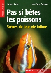 Capa do artigo Pas Si Betes Les Poissons ; Scenes De Leur Vie Intime