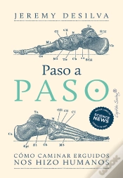 Capa do artigo Paso A Paso