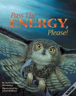 Capa do artigo Pass The Energy, Please!