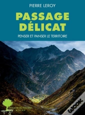 Passages Délicats : Penser Et Panser Le Territoire