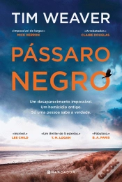 Capa do artigo Pássaro Negro