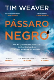 Capa do artigo Pássaro Negro
