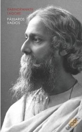 Passaros Vadios