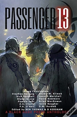 Capa do artigo Passenger 13