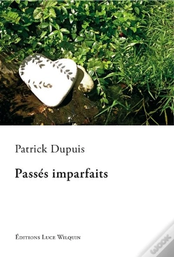 Capa do artigo Passes Imparfaits
